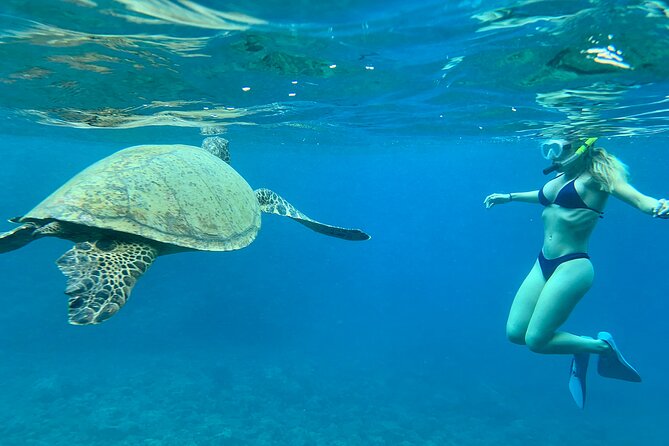 Hawaiian Culture & Snorkel Adventure with Photo/Videos - Where You Meet in Kapolei and Why That Location Matters