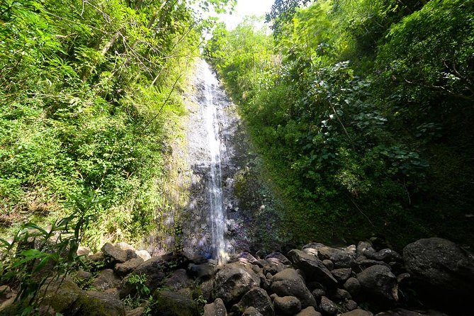 Hawaiian Waterfall Hike - Picking Up the Trail Game at 7:30am in Manoa