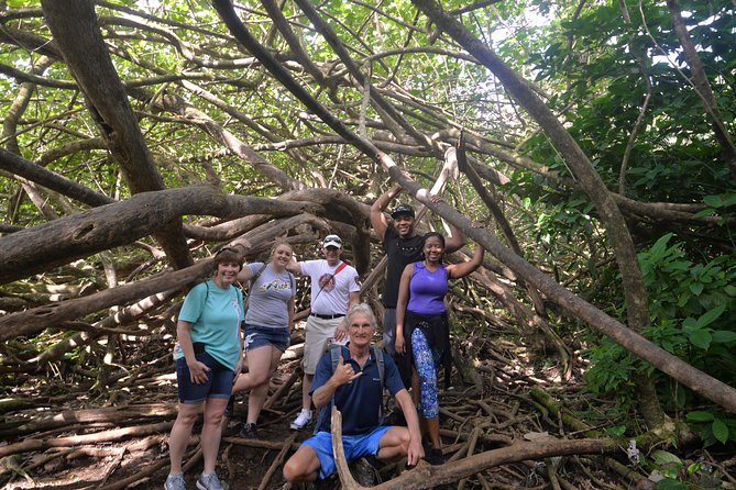 Hawaiian Waterfall Hike - The 2-Mile Hike: Easy Distance, Real Trail Footing