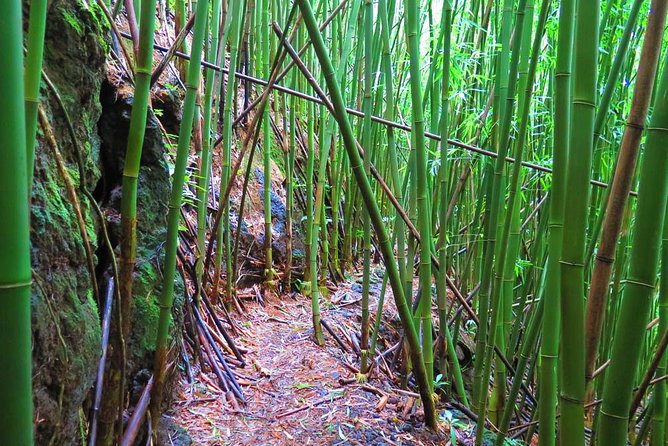 Hawaiian Waterfall Hike - The Waterfall Moment: Managing Expectations Without Killing the Magic
