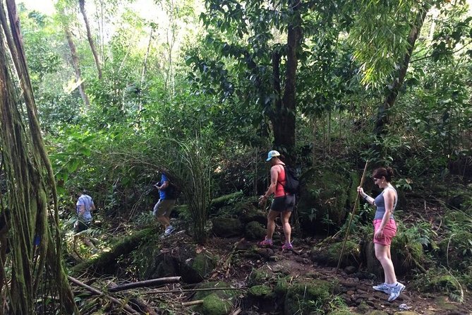Hawaiian Waterfall Hike - Why the Guides Matter More Than You Think
