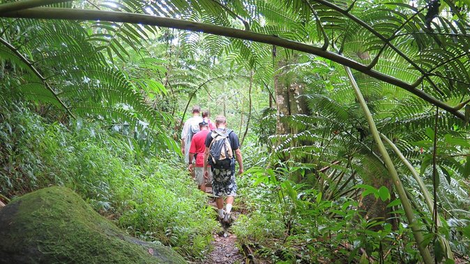Hawaiian Waterfall Hike - Value for $101.41: What You’re Paying For