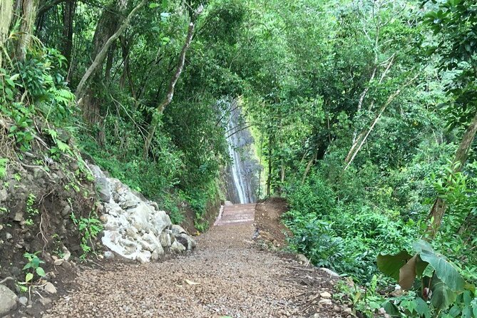 Hawaiian Waterfall Hike - Should You Book Hawaiian Waterfall Hike?