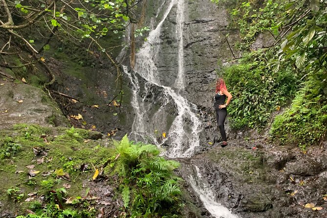 Hidden Hawaii Tours - Stop 1: Lulumahu Waterfall Hike (About an Hour Out and Back)