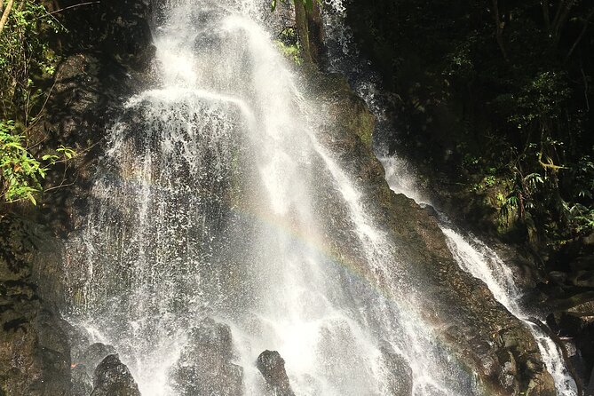 Hidden Hawaii Tours - The Guide Experience: Why Morgan and Jonathan Matter