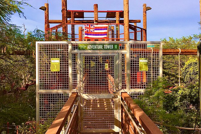 High Ropes Adventure Course at Coral Crater - Photography, adrenaline, and the reality of being up there