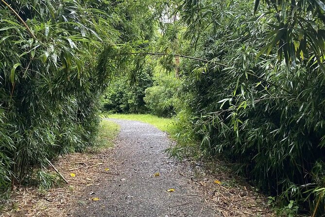 Hike to a Tropical Waterfall - pick up included - Pickup zones: where you’ll start the hike from