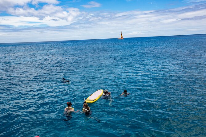 Hilton Hawaiian Village Turtle Snorkel with Optional Lunch - Group vibe, families, and who should book (or skip)
