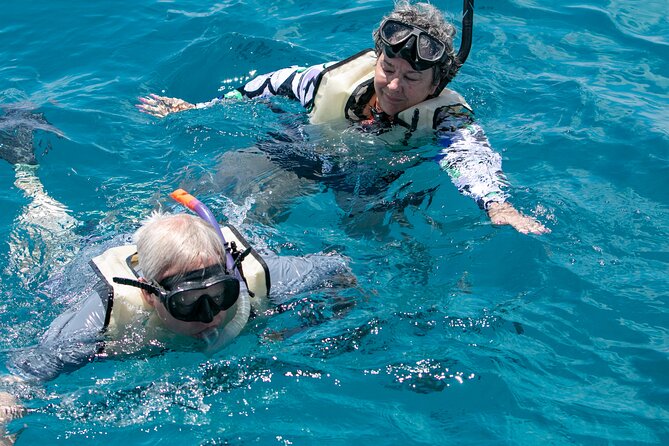 Hilton Hawaiian Village Turtle Snorkel with Optional Lunch - Price check: is $156.79 worth it?