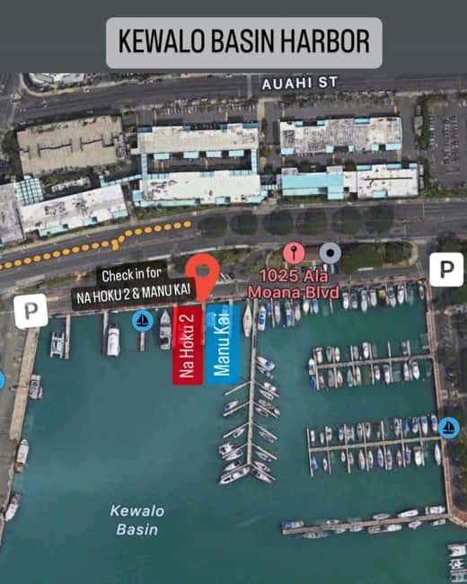 Honolulu: 1-Hour Friday Night Fireworks Cruise with Drinks - Your hour on the water: what the flow feels like