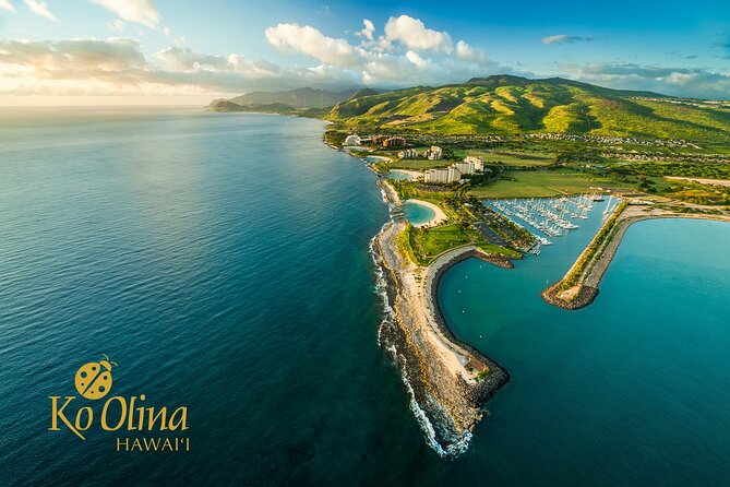 Honolulu Airport & Ko Olina Hotels Private Transfer by Minivan (up to 5 people) - Honolulu Airport pickup: what you can expect from the moment you land