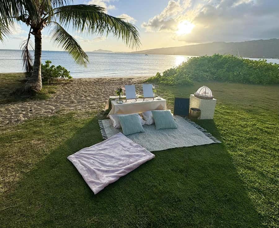 Honolulu: Beachside Luxury Picnic & Paint - Key highlights you should care about