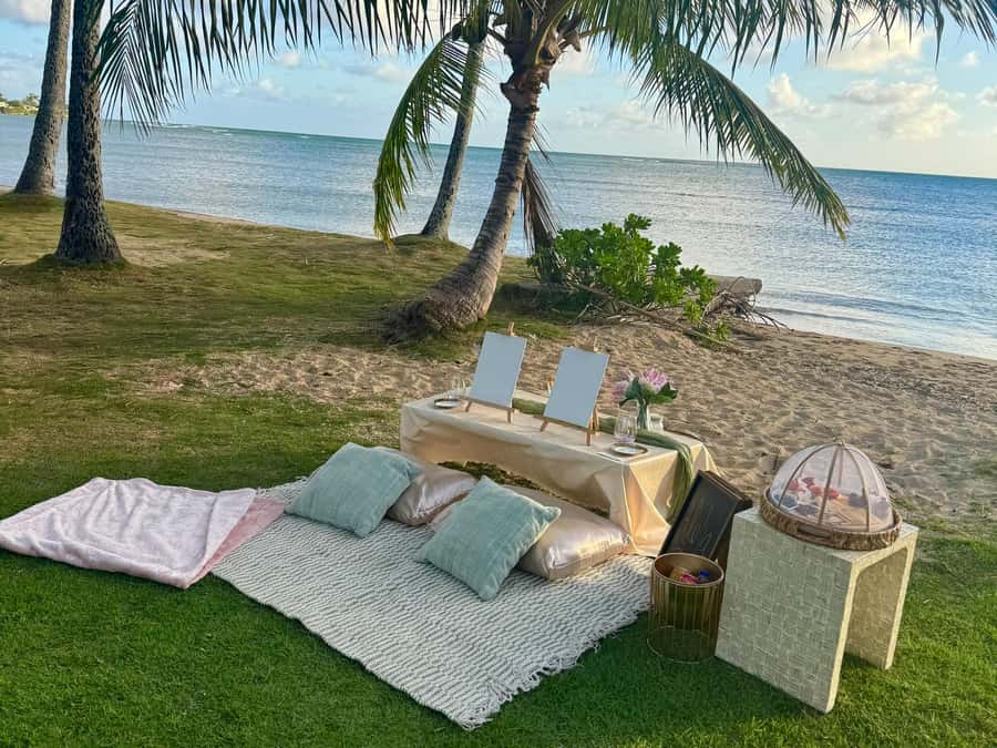 Honolulu: Beachside Luxury Picnic & Paint - A secluded shoreline that instantly changes the vibe