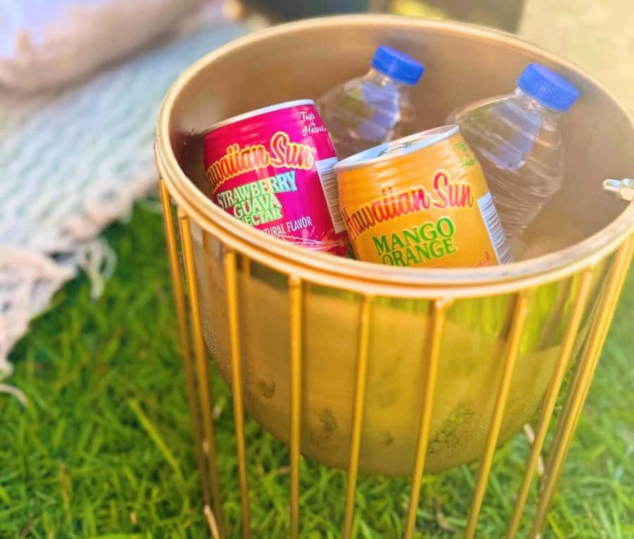 Honolulu: Beachside Luxury Picnic & Paint - The luxury picnic setup: charcuterie, chilled drinks, and comfort