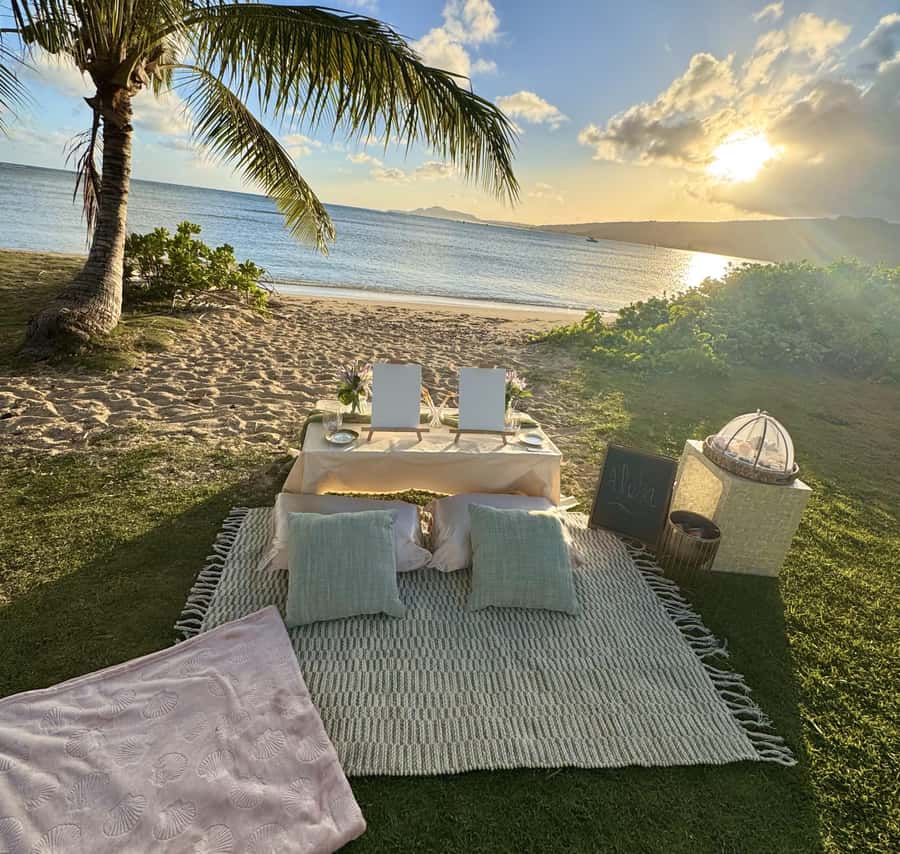 Honolulu: Beachside Luxury Picnic & Paint - What’s included in your painting kit (and why it’s worth $97)