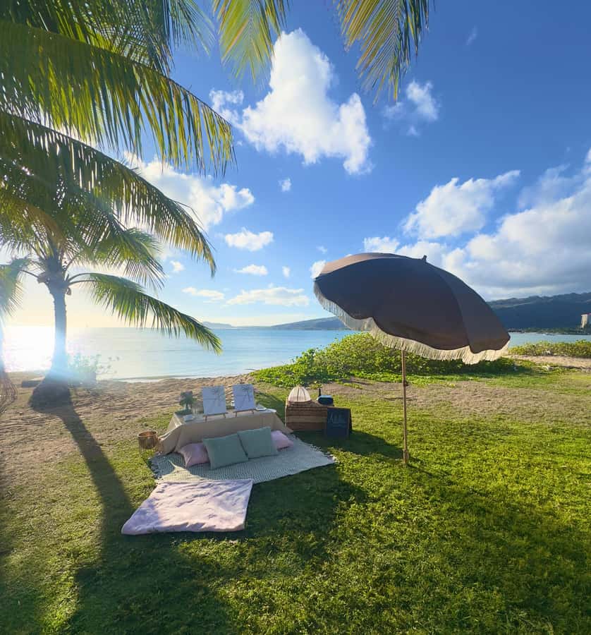 Honolulu: Beachside Luxury Picnic & Paint - Best times to go: mornings, afternoons, or evenings