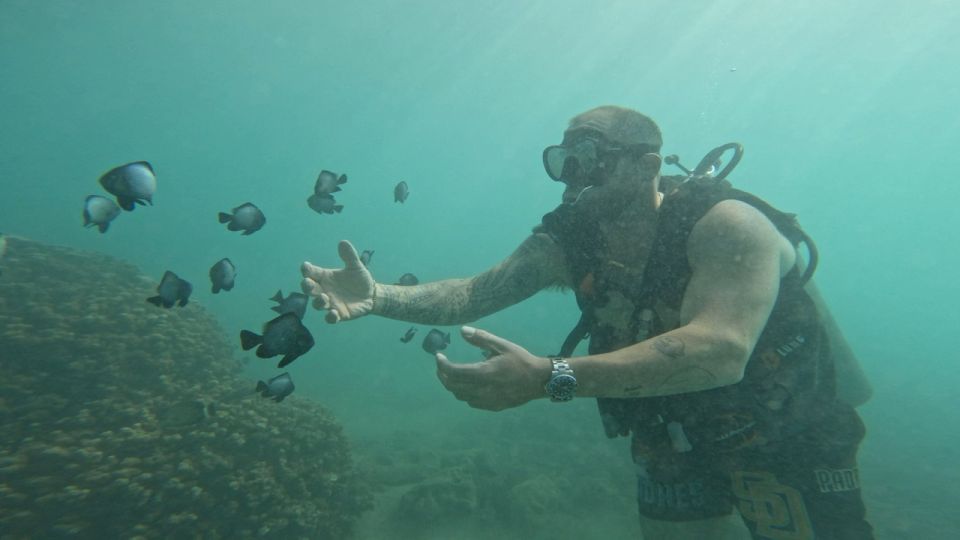 Honolulu: Beginner Scuba Diving Tour With Free Videos - What to Bring (and What Not to Forget) for a Smooth Session