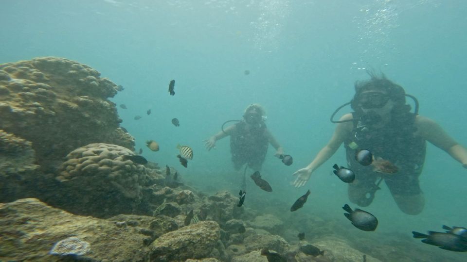 Honolulu: Beginner Scuba Diving Tour With Free Videos - Rain or Shine: How Weather Impacts Your Expectations