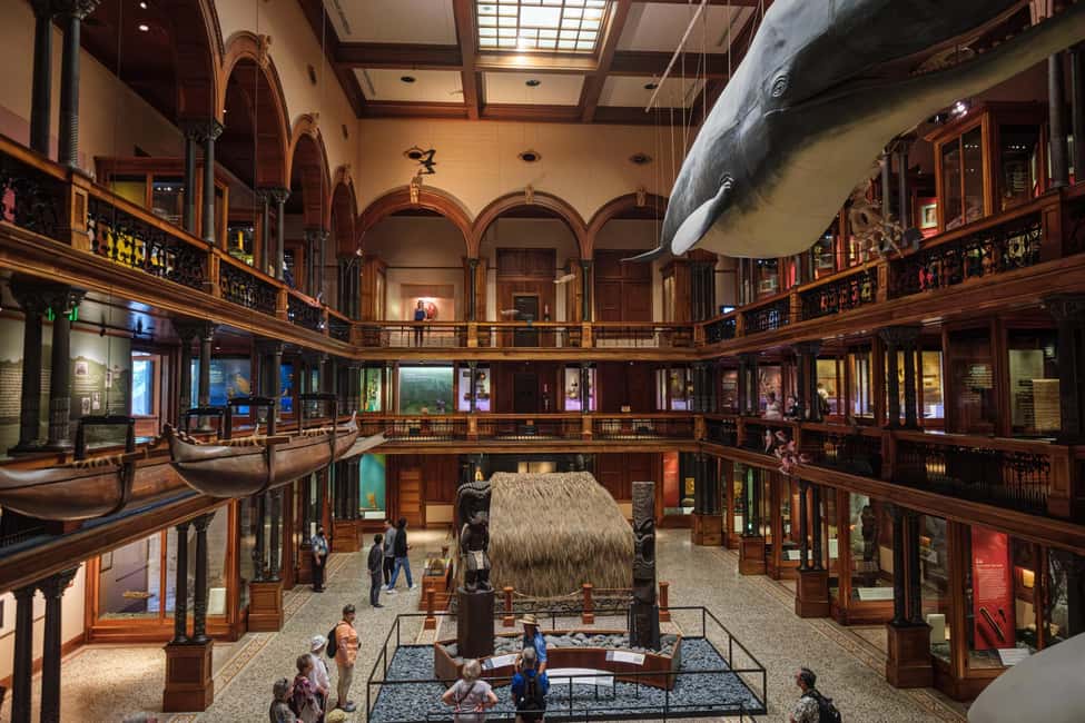 Honolulu: Bishop Museum General Admission Ticket - Science and Adventure Center: Lava Pour Demos and Geology Shows