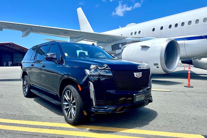 Honolulu Business Airport Transfer to/from Hotel, Cruise - Key points to know before you book