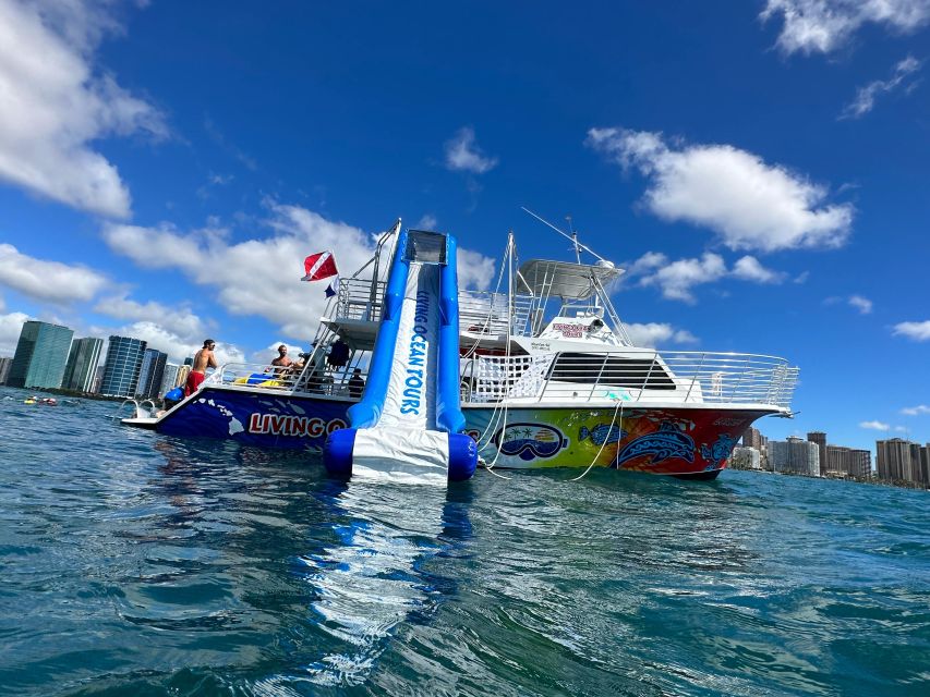 Honolulu: Deluxe Waikiki Snorkel and Wildlife Cruise - Key Highlights You’ll Actually Care About