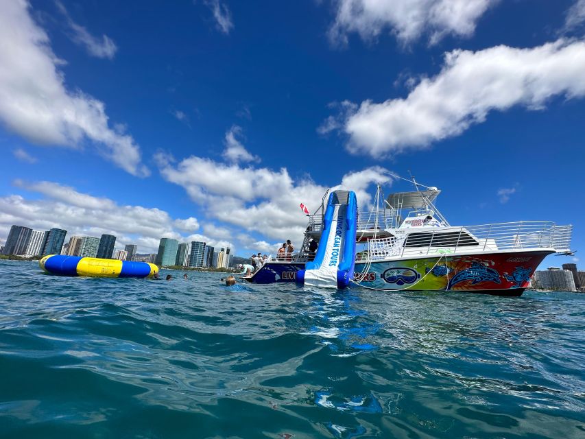 Honolulu: Deluxe Waikiki Snorkel and Wildlife Cruise - Kewalo Basin Pier Point: where the tour starts and why it matters