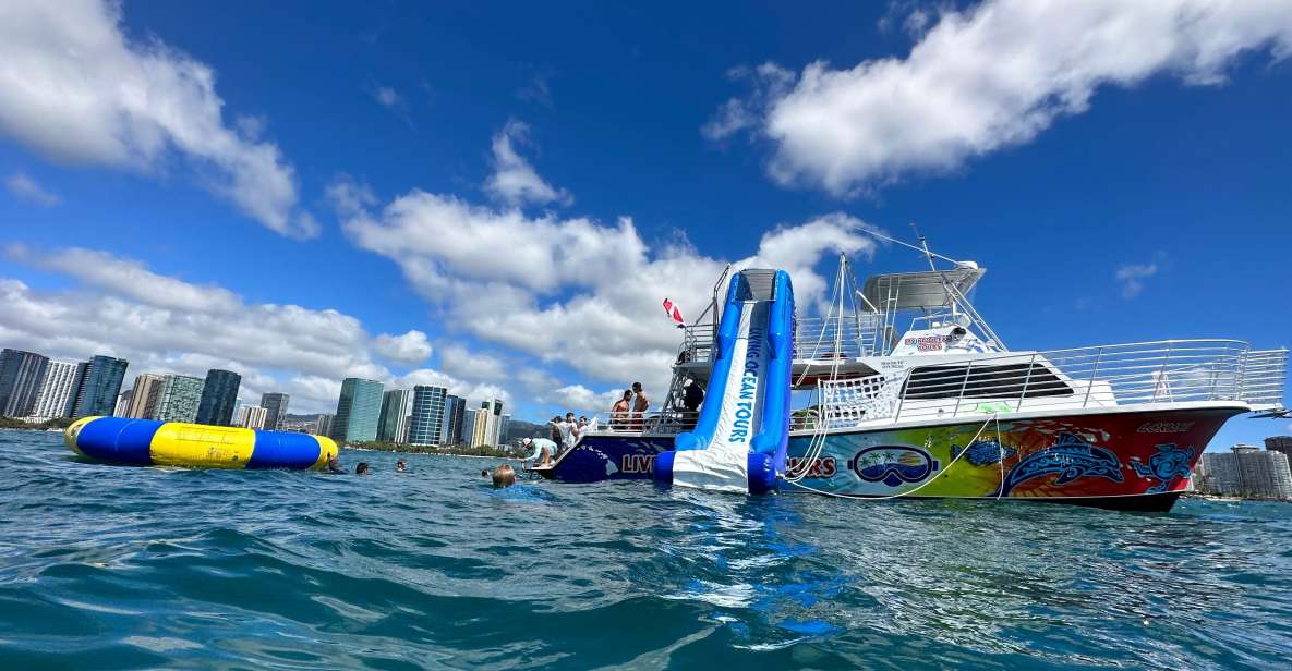 Honolulu: Deluxe Waikiki Snorkel and Wildlife Cruise - Diamond Head coastal cruise: wildlife spotting with real payoff