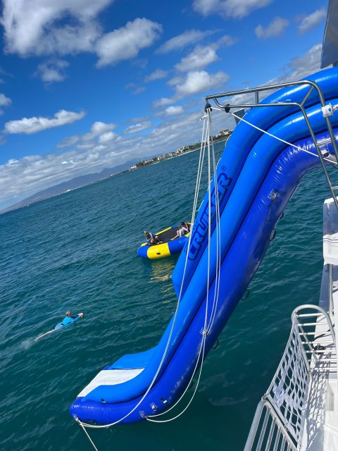 Honolulu: Deluxe Waikiki Snorkel and Wildlife Cruise - Should you book this Waikiki Deluxe Snorkel and Wildlife Cruise?