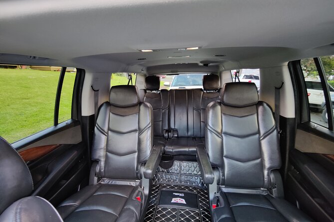 Honolulu Harbor Cruise Terminal Transfer by Luxury Vehicle - Who this transfer fits best