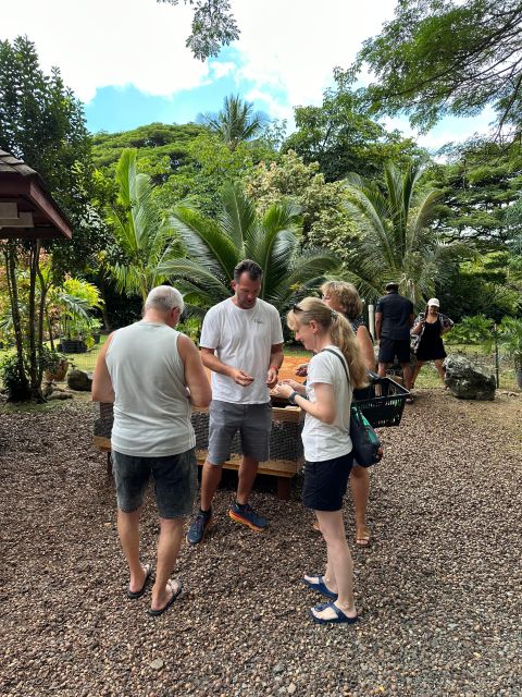 Honolulu: Highlights of Oahu Small Group Tour - Price and logistics: what $139 buys you (and what it doesn’t)