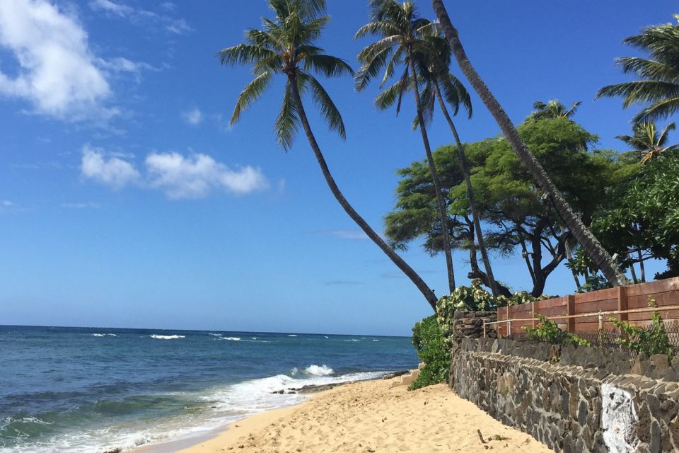 Honolulu: Highlights of Oahu Small Group Tour - Makapuʻu and whales: one lookout can change the whole day