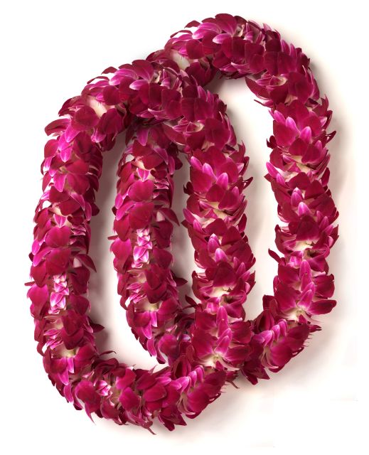 Honolulu Honeymoon Airport Lei Greeting - Who this is best for (and who should think twice)