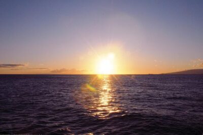Honolulu: Pacific Star Sunset Dinner Cruise and Show - What You Eat: the Pacific Rim Buffet and what to expect