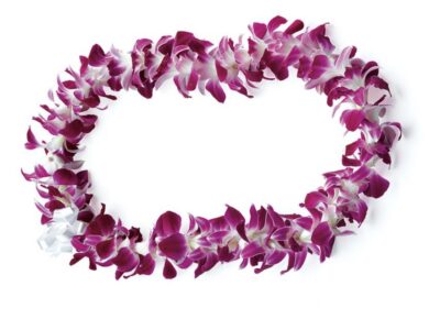 Honolulu: Private Airport Transfer with Arrival Lei Greeting - Lei Greeting: The Aloha Welcome, Orchid Edition