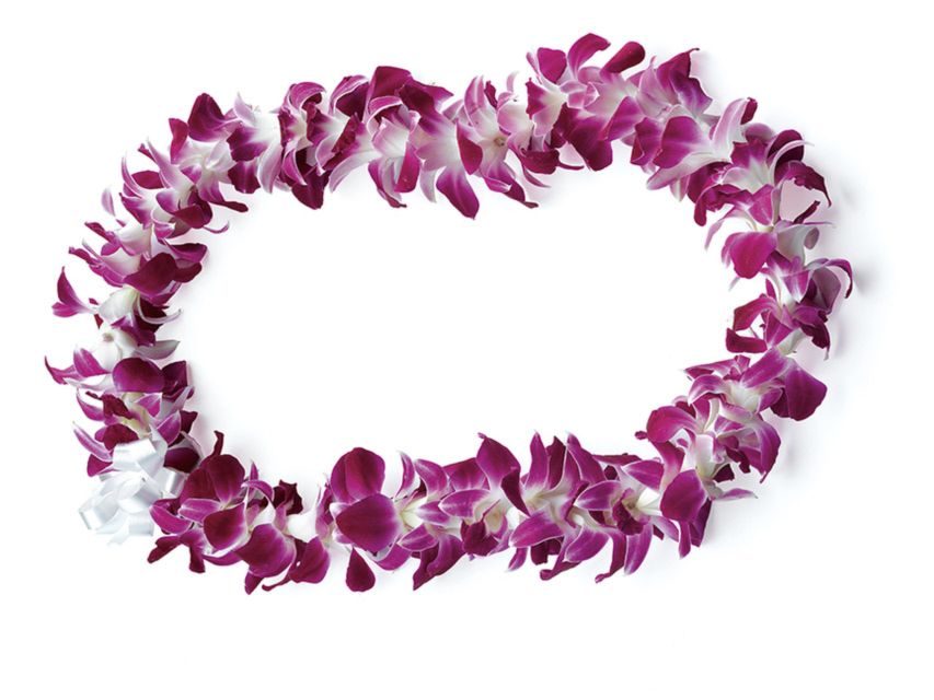 Honolulu: Private Airport Transfer with Arrival Lei Greeting - Lei Greeting: The Aloha Welcome, Orchid Edition