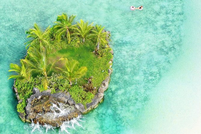 Honolulu Private Walking Tour with a Local - Walking for 2 to 6 hours: how to plan your day