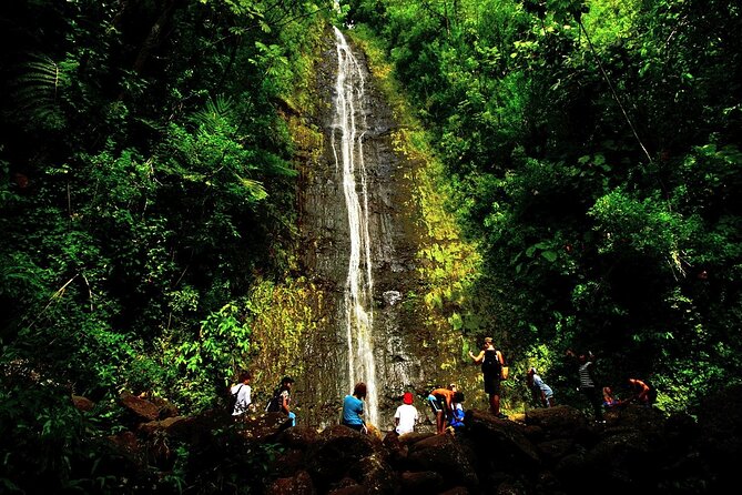 Honolulu Rainforest Self-Guided Audio Tour - A Note on Difficulty and Comfort (Including Windy Roads)
