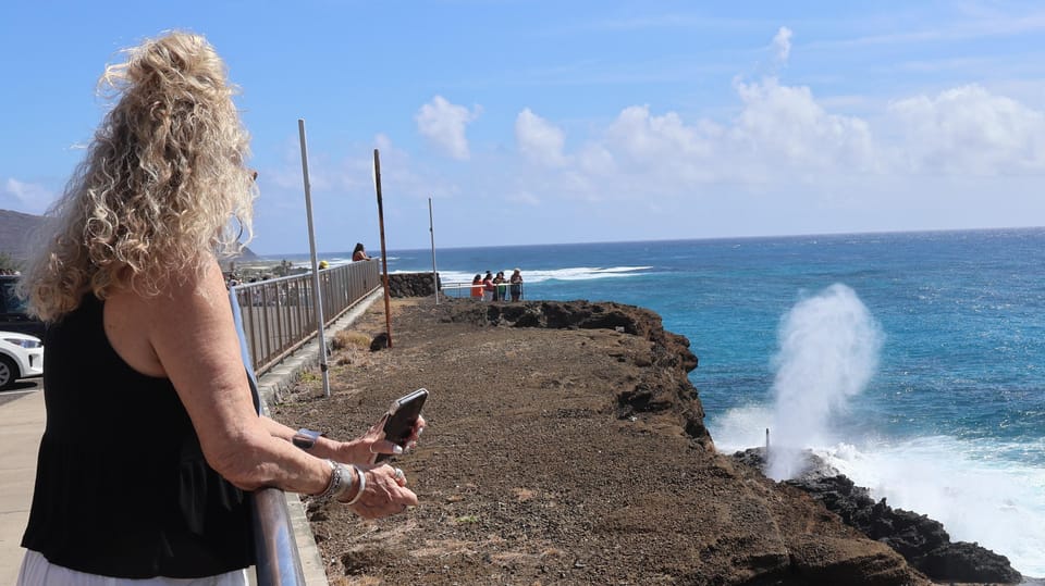 Honolulu: Stunning Views of Oahu! Half-day Scenic Tour - Should You Book This Honolulu Scenic Tour?