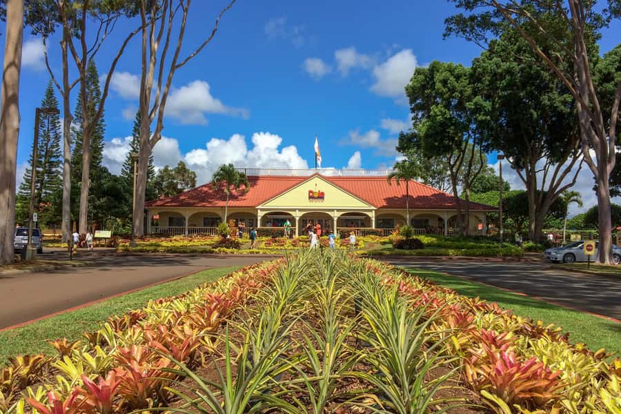 Honolulu: Ultimate Pearl Harbor and Circle Island Tour - Oʻahu WWII Stops on the Way Out: Past Targets, Present Roads