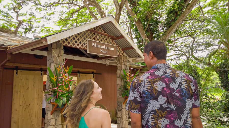 Honolulu: Ultimate Pearl Harbor and Circle Island Tour - Pali Lookout and the Nuʻuanu Battle Story: Views With Weight