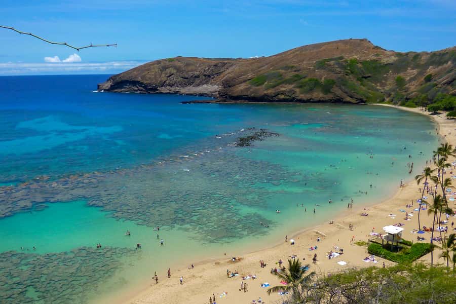 Honolulu: Ultimate Pearl Harbor and Circle Island Tour - Halona Blowhole and Mokoliʻi Photo Stops: Quick Stops, Memorable Angles