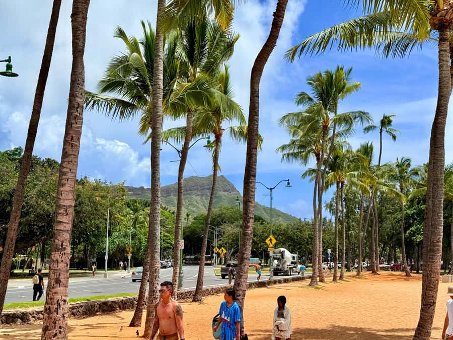 Honolulu: Waikiki Food Tour with Local Guide - Price and Value: Is $100 Worth It for 3 Hours?