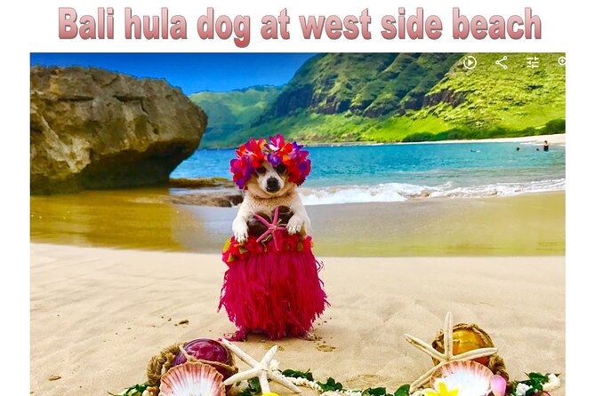 Incredible west side hidden gems -PLEASE CONTACT BEFORE BOOKING - Weather and tide reality: how to get the most out of your cave time