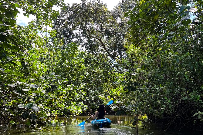 Kahana Bay River to Ocean: Kayak and Stand Up Paddle Board Rental - Key Points to Know Before You Rent