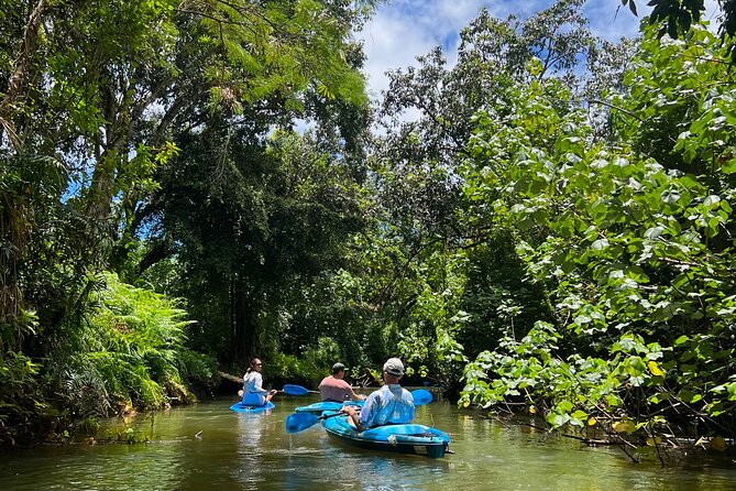 Kahana Bay River to Ocean: Kayak and Stand Up Paddle Board Rental - The Host Factor: Why the Setup Feels Like A Local Trip