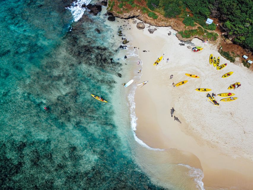 Kailua: Mokulua Islands Guided Kayak and Snorkeling Tour - Kayak Surfing When the Waves Pick Up: Fun With Training Wheels