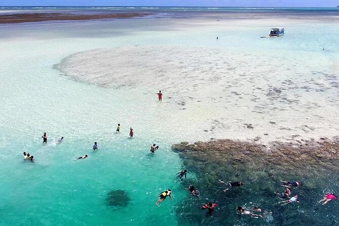 Kaneohe Sandbar Snorkeling Tour - 1st Tour - The sandbar centerpiece: walk on the ocean floor and play during your 2h10min