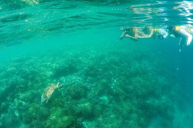 Kaneohe Sandbar Snorkeling Tour - 1st Tour - Weather and sea conditions: how the day adapts when Mother Nature won’t cooperate