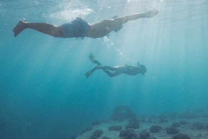 Kayak, Snorkel, and Surf with Turtles in Honolulu - The shipwreck stop: extra snorkeling without the full-day fatigue