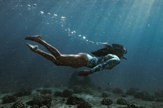 Kayak, Snorkel, and Surf with Turtles in Honolulu - What’s included (and what to bring mentally)
